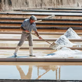 Salt Pans of Rio Maior