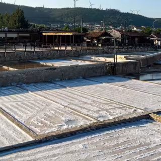 Salt Pans of Rio Maior