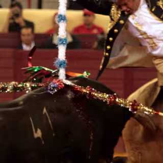 Nazare Bull Fighting