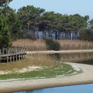 Lagoa de Pataias
