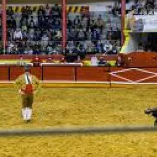 Nazare Bull Fighting